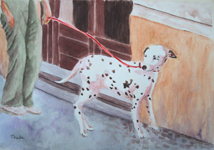 Dalmatian on a leash in a Prague street — watercolour